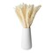 Ivory Natural Dried Pampas Grass with Ceramic Vase, 40 Bundles (16 Inches)